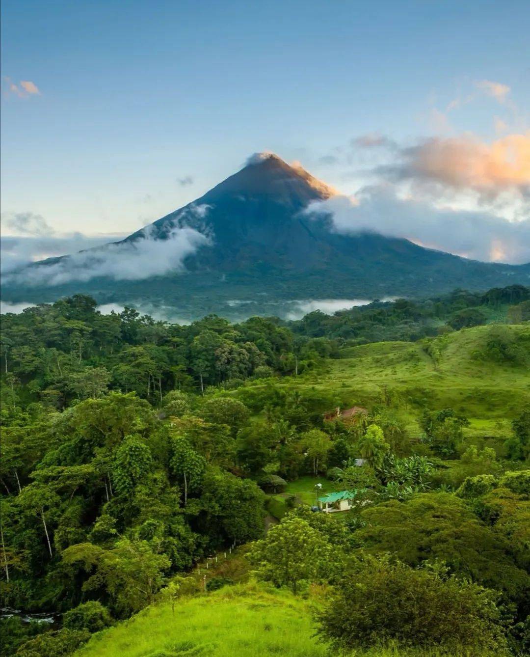 钟南山板蓝根最新发声，探索自然美景，共启健康之旅