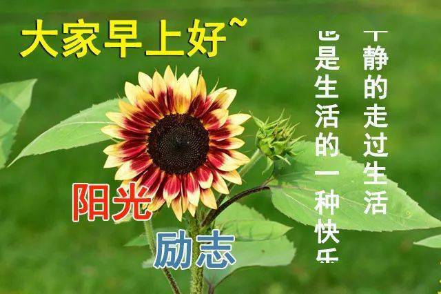 启程向成功，最新早上好问候，学习与变化带来自信与光芒