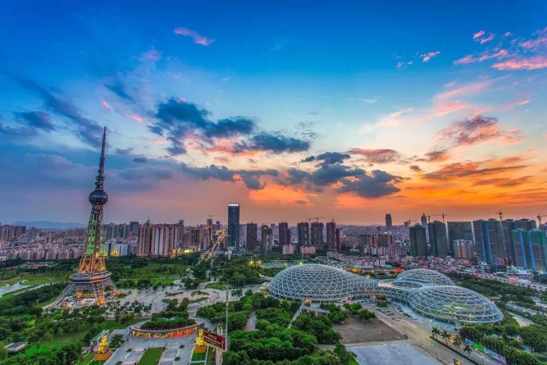 秦盟最新动态，小巷独特风味探秘之旅