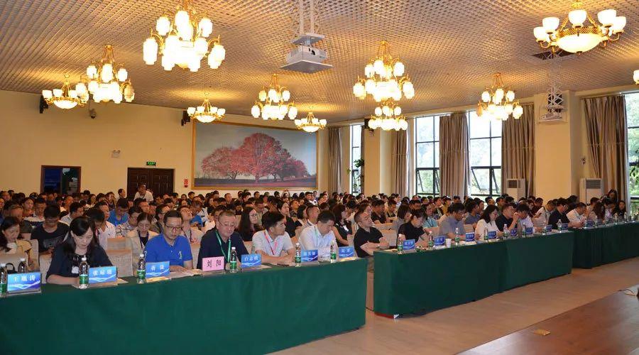 重磅推出，币最新版本——科技重塑数字生活体验