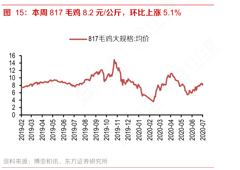 今日817毛鸡最新价格,今日817毛鸡最新价格大揭秘📣🐓