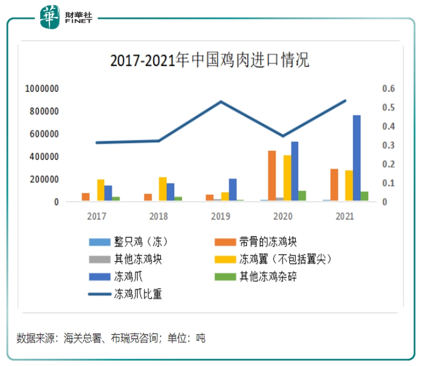 鸡温最新动态，深度探讨与前沿洞察