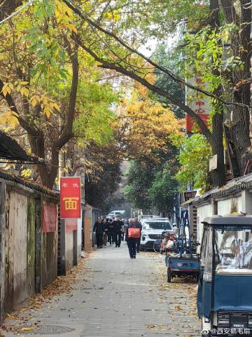 西安新闻都市快报最新消息，小巷深处的独特风味