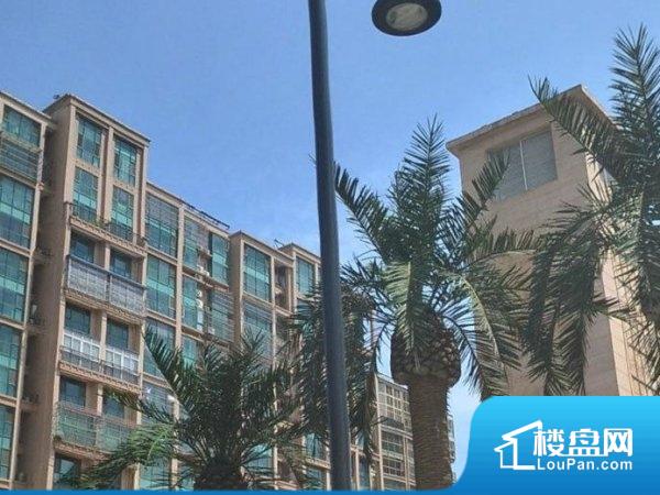 石油机械设备 第278页