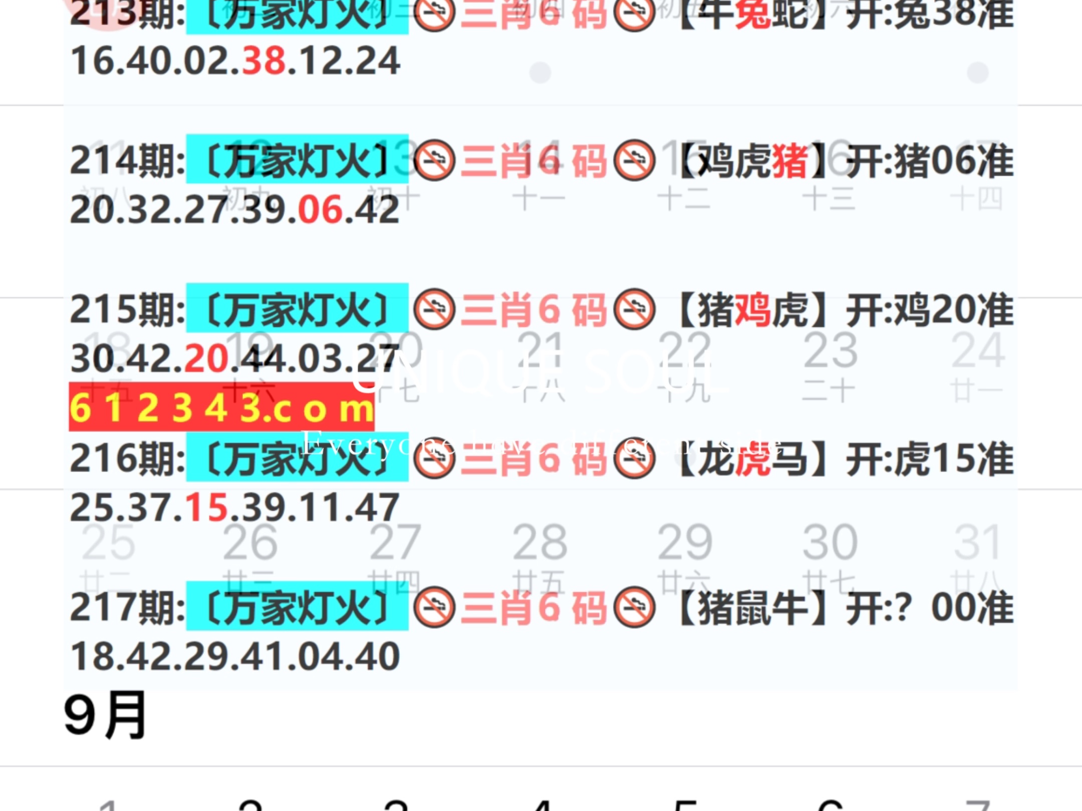 2024澳门特马今晚开奖4月8号,数据分析计划_外观版95.217