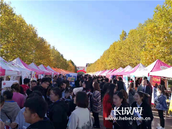 秦皇岛聚贤人才市场最新招聘信息概览与概览