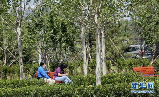 旧宫城市森林公园最新动态及资讯更新🌳