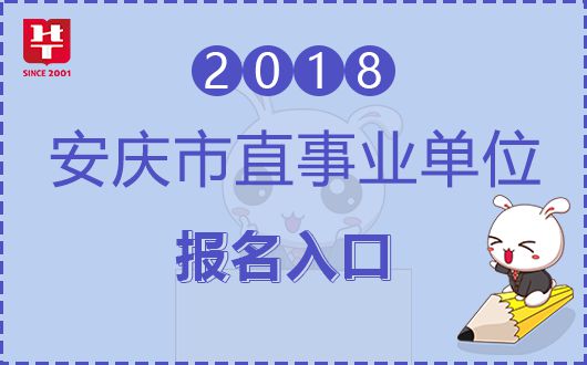 最新事业单位报名入口，巷弄深处的独特机遇开启