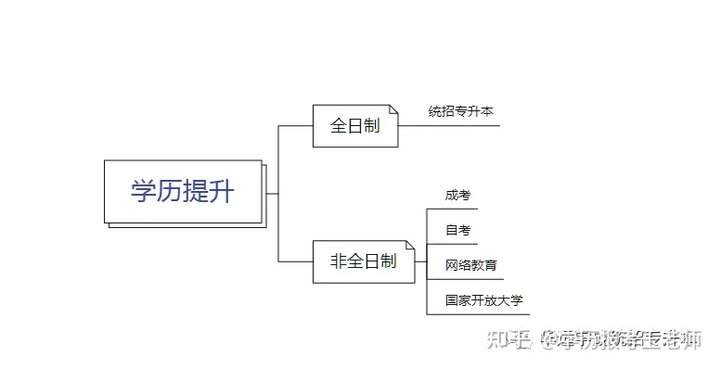 统招专升本最新消息解析，全面解读与步骤指南