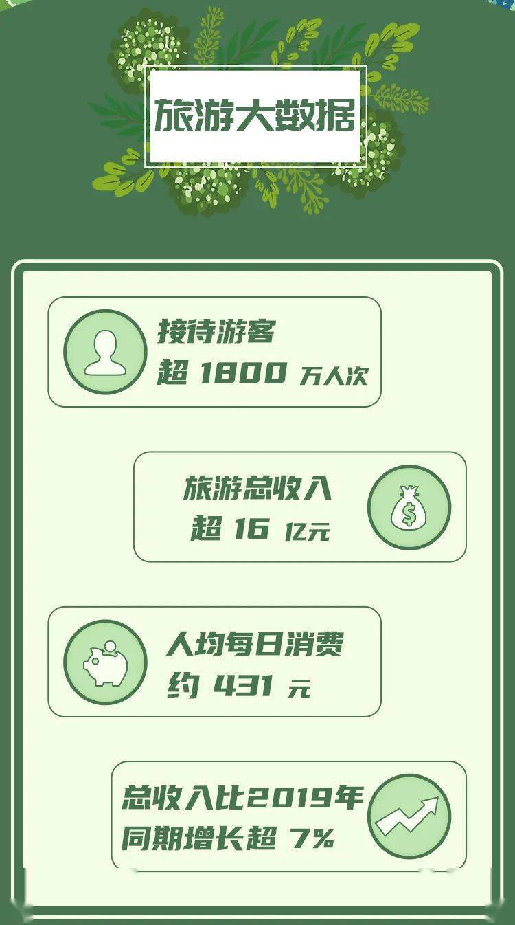 中国最新疫情报道，上海的坚守与前行之路