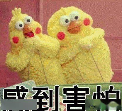 广东队最新动态揭秘，篮球场上的温情时光