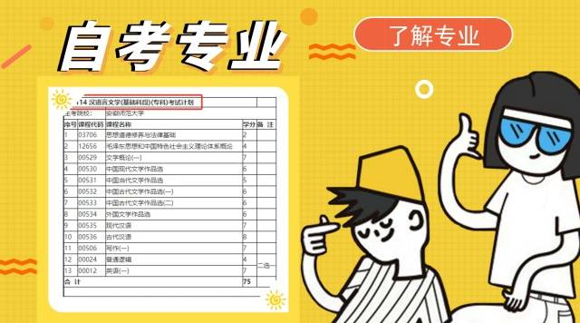 小自考大专最新政策详解，背景、进展、影响及其实施细节分析