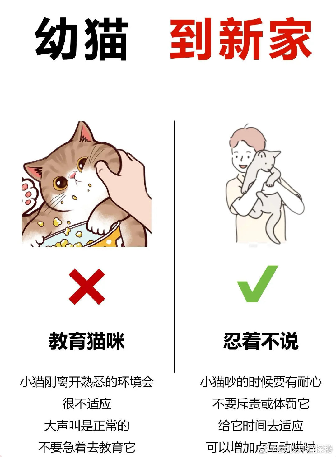 小喵最新版使用指南，全方位教程适用于初学者与进阶用户
