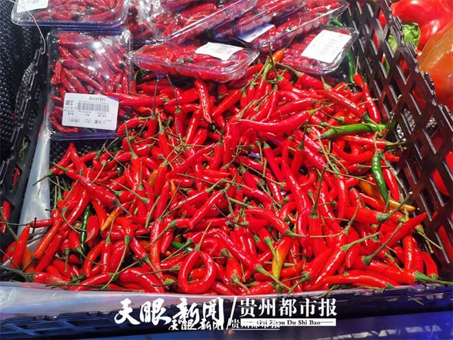 石油机械设备 第101页