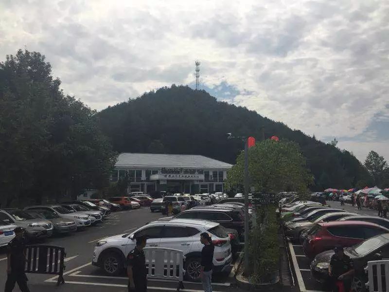 新化三桥最新动态更新