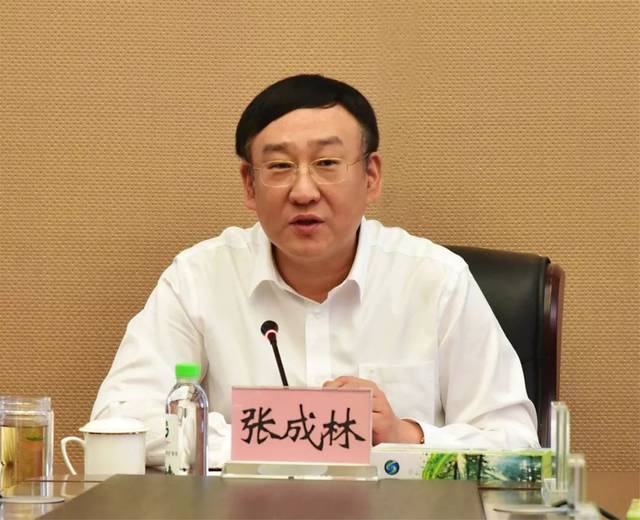 内蒙古张成林最新任职揭秘，探寻小巷中的独特风味之旅