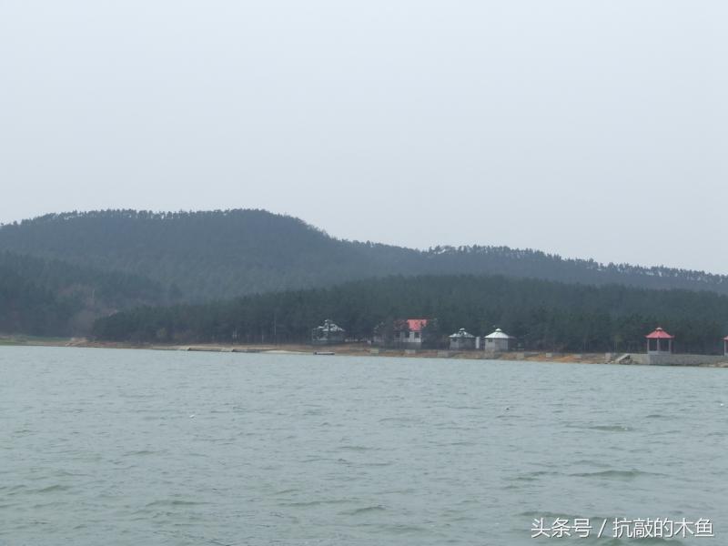 中山中开高速最新动态，驶向自然美景，探索内心平静的奇妙之旅